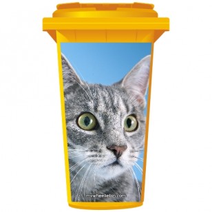 Tabby Grey Cat Wheelie Bin Sticker Panel